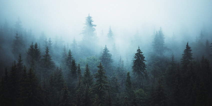 Why Wilderness Programs for Girls Work